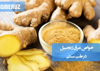 خواص عرق زنجبیل در طب سنتی؛ تقویت گوارش، ضد التهاب و آرتروز، بهبود سرماخوردگی، تقویت حافظه، تنظیم قاعدگی و افزایش میل جنسی.