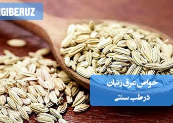 خواص عرق زنیان در طب سنتی؛ تقویت معده، درمان نفخ، رفع سوءهاضمه، ضداسپاسم و مؤثر در تنظیم گازهای روده