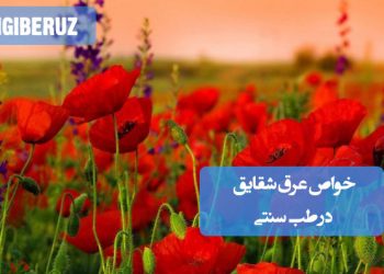 خواص عرق شقایق در طب سنتی؛ آرام‌بخش اعصاب، تسکین دردهای عصبی، کاهش اضطراب، کمک به بهبود خواب و رفع سردردهای مزمن