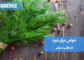 خواص عرق شوید در طب سنتی؛ کمک به هضم غذا، کاهش نفخ و گاز معده، تنظیم چربی خون و تقویت معده و رودهها