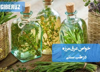 خواص عرق مرزه در طب سنتی؛ تقویت معده، ضدنفخ، رفع اسهالهای سرد، محرک اشتها و کمک به تنظیم حرارت داخلی بدن