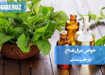 خواص عرق نعناع در طب سنتی؛ تسکین سوء هاضمه، کاهش نفخ، ضد اسپاسم معده، رفع سردردهای میگرنی و افزایش انرژی بدن