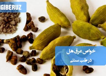 خواص عرق هل در طب سنتی؛ تقویت دستگاه گوارش، افزایش اشتها، بهبود هضم، ضد نفخ، رفع بوی بد دهان و تقویت قلب