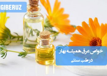 خواص عرق همیشه بهار در طب سنتی؛ ضد التهاب و ضد سرطان، تقویت سیستم ایمنی، بهبود زخم و سوختگی، کاهش تب و درد قاعدگی، تنظیم قاعدگی، تصفیه خون و درمان مشکلات پوستی مانند اگزما و لک