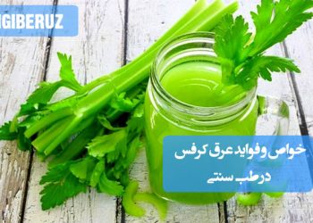 خواص و فواید عرق کرفس در طب سنتی؛ کاهش چربی و اسیداوریک، تقویت کلیه، کمک به لاغری، ادرارآور و ضدالتهاب مفاصل و عضلات