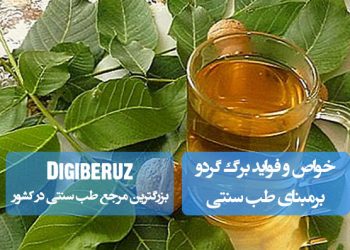 "خواص برگ گردو در طب سنتی؛ بهبود سلامت پوست، کمک به درمان عفونتها و تنظیم عملکرد دستگاه گوارش"