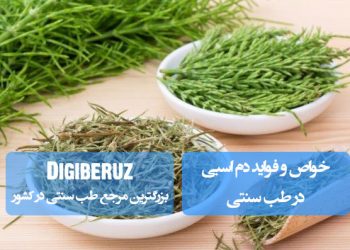 "خواص دم‌اسبی در طب سنتی؛ تقویت سیستم ادراری، بهبود گردش خون مویرگی و تسریع بازسازی بافت‌های آسیب‌دیده"