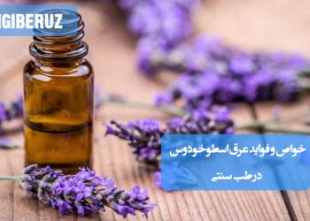 خواص و فواید عرق اسطوخودوس در طب سنتی؛ آرام‌بخش اعصاب، بهبود خواب، کاهش استرس و کمک به تسکین سردردهای مزمن