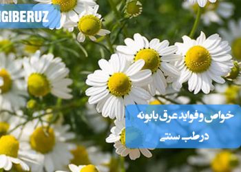 خواص و فواید عرق بابونه در طب سنتی؛ آرام‌بخش اعصاب، تسکین معده، کاهش نفخ و کمک به بهبود خواب و پوست سالم