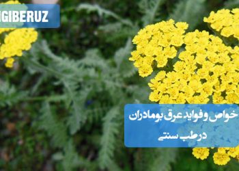 خواص و فواید عرق بومادران در طب سنتی؛ تنظیم قاعدگی، تقویت معده، ضدنفخ، ضدعفونیکننده، و کاهش دردهای رحمی و گوارشی