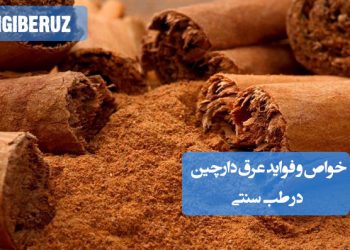 خواص و فواید عرق دارچین در طب سنتی؛ بهبود گردش خون، تقویت قلب، تنظیم قند خون، افزایش متابولیسم و کمک به هضم غذا