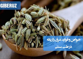 خواص و فواید عرق رازیانه در طب سنتی؛ تنظیم هورمونهای زنانه، تقویت تخمدانها، افزایش شیر مادر و بهبود هضم غذا