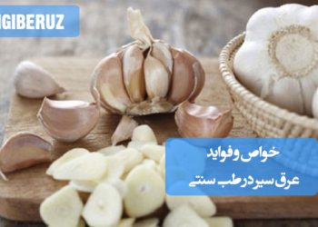خواص و فواید عرق سیر در طب سنتی؛ کاهش فشار و چربی خون، ضدعفونیکننده قوی، تقویت ایمنی، بهبود گوارش و پاکسازی بدن از سموم