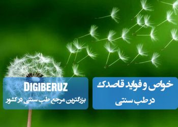 خواص قاصدک: سمزدایی کبد، کاهش کلسترول، درمان اگزما و تقویت کلیه با ویتامینهای A، C و K