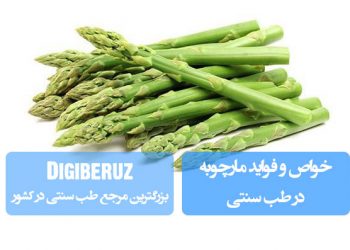 مارچوبه در طب سنتی: تقویت کلیه، ادرارآور و تصفیهکننده خون