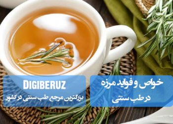 مرزه در طب سنتی: ضدعفونی کننده، بهبود گوارش و کاهش نفخ