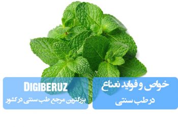 خواص نعناع: درمان سوءهاضمه، کاهش تهوع، ضدعفونی دهان و تسکین دردهای عضلانی با اسانس‌های فعال