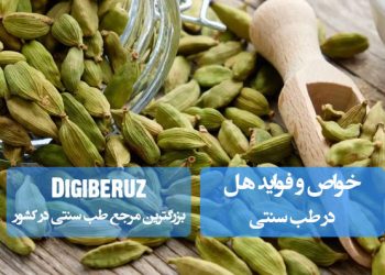 خواص هل: درمان سوءهاضمه، افزایش انرژی، تنظیم فشار خون و خوشبوکنندگی طبیعی با اسانس‌های فرار