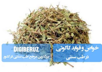 کاکوتی در طب سنتی: ضدعفونی کننده قوی، بهبود سرماخوردگی، تقویت سیستم ایمنی و تسکین سرفه با ترکیبات تیمول و کارواکرول