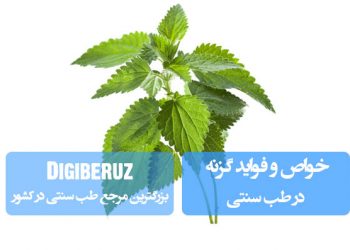 خواص گزنه: تقویت مو و ناخن، بهبود آرتروز، کنترل دیابت و پاکسازی خون با ترکیبات معدنی و ویتامین