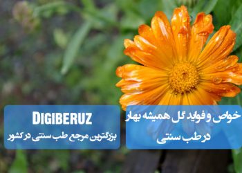 خواص درمانی گل همیشه بهار در طب سنتی | ضدالتهاب، ترمیم پوست و تقویت کبد