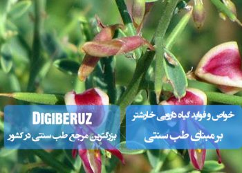 خواص و فواید گیاه دارویی خارشتر در طب سنتی؛ درمان مشکلات کلیوی، کاهش التهاب، تسکین درد و بهبود هضم غذا.