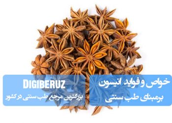 "بررسی خواص و فواید گیاه دارویی انیسون در طب سنتی با تمرکز بر کاربردهای گوارشی و آرامبخش"