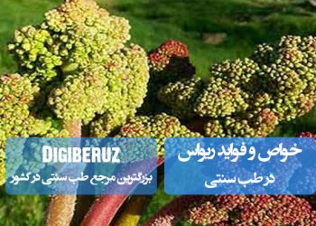 ریواس در طب سنتی: تصفیه خون، بهبود گوارش و کاهش فشار خون
