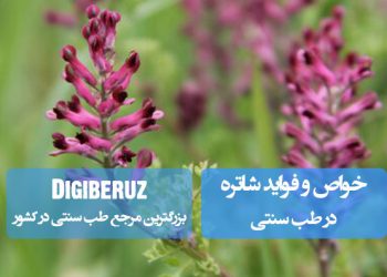 شاتره در طب سنتی: پاکسازی کبد، کاهش قند خون و درمان مشکلات پوستی مانند اگزما و جوش