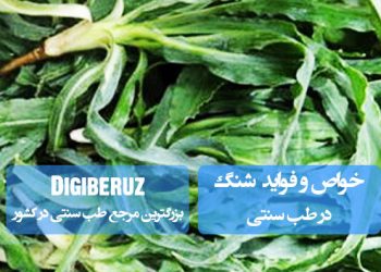 شِنگ در طب سنتی: تصفیه خون، درمان یرقان و تقویت کبد