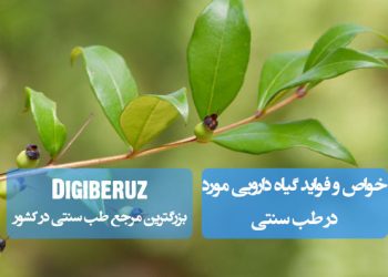 مورد در طب سنتی: ضدعفونی کننده قوی، درمان آکنه، تقویت مو و بهبود زخم با ترکیبات تاننی و آنتیاکسیدانی