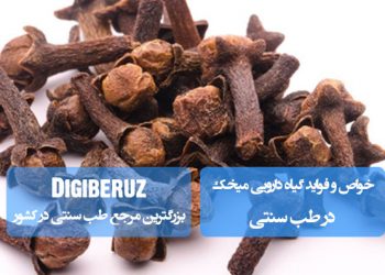 میخک در طب سنتی: ضدعفونی دهان، تسکین دنداندرد، بهبود گوارش و کاهش التهاب با ترکیب فعال اوژنول
