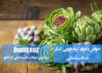 کنگر فرنگی در طب سنتی: محافظ کبد، کاهش کلسترول، بهبود گوارش و تنظیم قند خون با ترکیبات سینارین و فلاونوئیدی