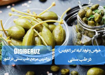 خواص کبر: پاکسازی کبد، تسکین درد مفاصل، تنظیم فشار خون و درمان اگزما با ترکیبات موثره کوئرستین و روتین