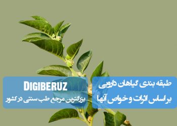 طبقهبندی گیاهان دارویی براساس خواص درمانی؛ از تقویت اعصاب تا پاکسازی کبد در منابع معتبر طب سنتی