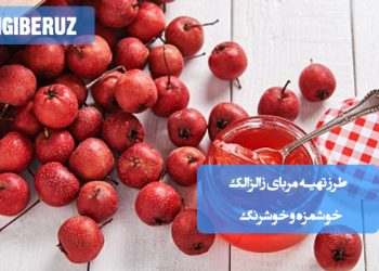 آموزش تهیه مربای زالزالک خانگی با طعم شیرین و رنگ جذاب، مناسب صبحانه و عصرانه