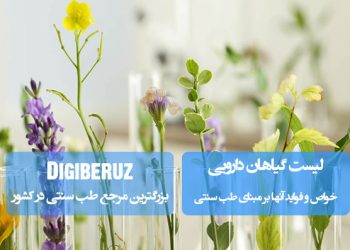 لیست جامع گیاهان دارویی بههمراه خواص درمانی و مزاج آنها طبق منابع معتبر طب سنتی مانند قانون، تحفه و مخزنالادویه.