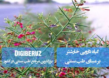 گیاه دارویی خارشتر؛ خواص، کاربردها و نقش درمانی در طب سنتی برای بهبود مشکلات گوارشی و التهابی