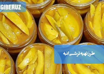 بهترین روشهای تهیه ترشی انبه خانگی؛ نکات کلیدی، طعمدهی بینظیر و راهنمای نگهداری سالم و خوشمزه