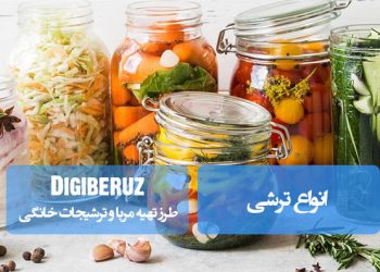 "مروری بر انواع ترشیهای محبوب ایرانی با طرز تهیه و نکات کلیدی برای طعمی بینظیر در هر فصل|