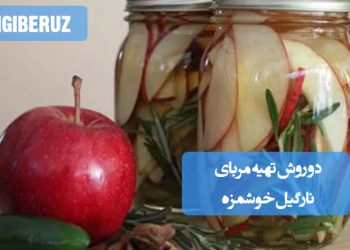 ترشی سیب: انواع روشهای تهیه ترشی خوشطعم و معطر، چاشنی اشتهاآور و مفید برای گوارش
