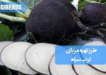 مربای ترب سیاه: انواع روش تهیه مربایی خاص و پرخاصیت، مفید برای سرماخوردگی و تقویت سیستم ایمنی.