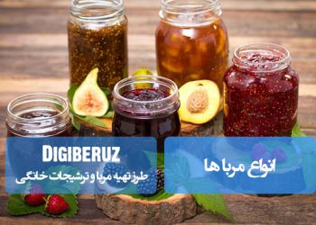 "مروری جامع بر انواع مرباهای سنتی و مدرن همراه با روشهای تهیه و نکات مهم برای طعمی بینظیر"