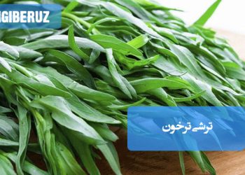 ترشی ترخون خانگی با طعمی ملس و معطر، تهیه ساده و مناسب برای تنوعبخشی به وعدههای غذایی سنتی و مدرن.