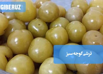 ترشی گوجه سبز: معرفی و طرز تهیه ترشی گوجه سبز، چاشنی فصلی و خوشطعم با طعم ترش و دلپذیر