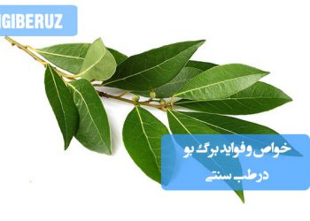 خواص و فواید برگ بو در طب سنتی: ضد التهاب، کمک به هضم غذا، کاهش دردهای عضلانی و مفصلی، و تقویت سیستم ایمنی بدن.