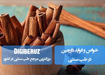 "خواص دارچین در طب سنتی؛ بهبود متابولیسم گلوکز، تقویت گردش خون و حمایت از عملکرد ضد میکروبی دستگاه گوارش"