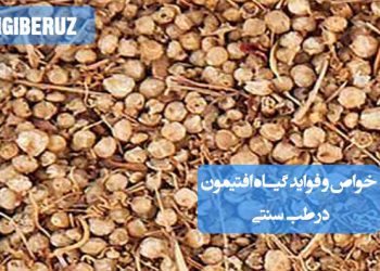 خواص و فواید گیاه افتیمون در طب سنتی: تقویت اعصاب، آرامبخش، بهبود بیخوابی، کاهش اضطراب و تسکین دردهای عضلانی.