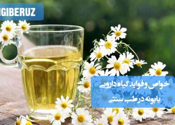 خواص و فواید گیاه بابونه در طب سنتی: آرامبخش اعصاب، ضدالتهاب، بهبود هضم، تسکین دردهای معده و کمک به درمان بیخوابی و استرس.