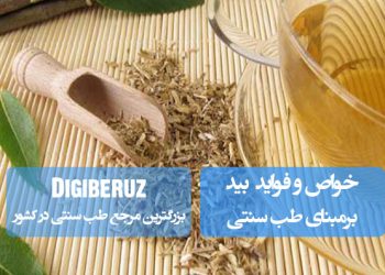 "خواص گیاه دارویی بید در طب سنتی؛ کاهش درد مفاصل، بهبود عملکرد سیستم قلبی و تقویت سیستم ایمنی"